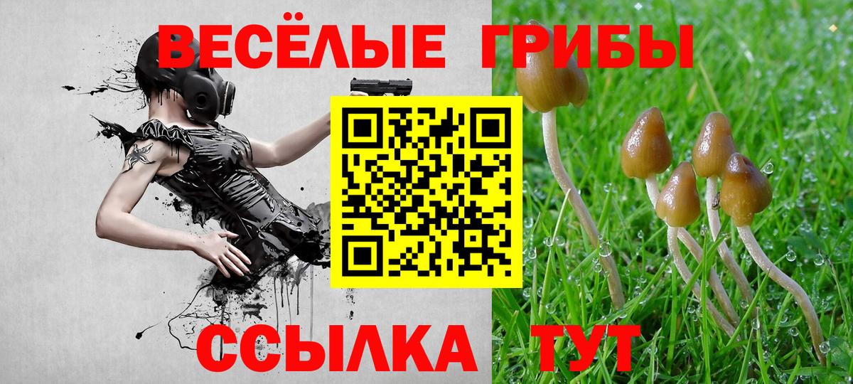 Галлюциногенные грибы мухоморы Иваново