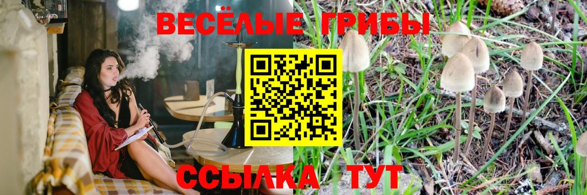 Галлюциногенные грибы Cubensis  Вход с VPN  купить наркотик  Иваново 